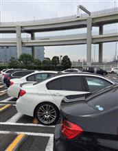 Club F30 大黒プチオフ初参加