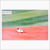 ベイスターズファンの皆様・・・