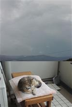 奈良は凄い風、ときどき雨。 奈良は凄い風、ときどき雨。
