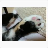 雨のおかげで(#^.^#)