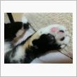 雨のおかげで(#^.^#)