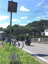 ご近所サイクリング