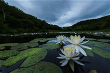萩原俊哉の「世界一わかりやすい風景写真教室」（志賀高原）
