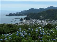 伊豆西南アジサイドライブ