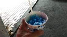 久々のうちわ祭り