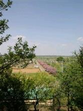 田舎