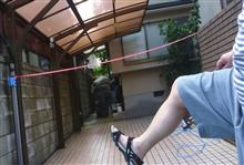 梅雨の汚れを落としました。