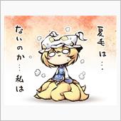 夏本番