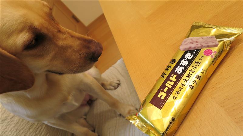 あずきバー インディパパのブログ 楽しいクルマいじりを みんカラ