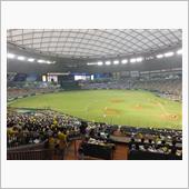 野球観戦（埼玉西武VS北海道 ...