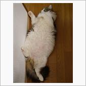 週末は暑かったです…