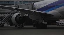 大好きな 大好きな