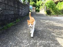 穴を開ける・・・・自分でやらないけど・・・・