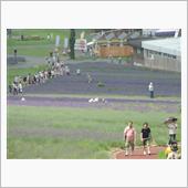 玉原ラベンダーパークに行つて ...