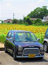 佐賀 ひょうたん島公園✾向日葵畑☆彡