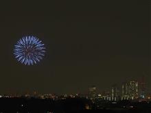 夜空焦がす花火