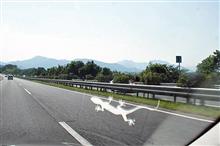 &quot;まあかん！&quot; # 1 接触！