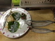 実は腹黒い貴夫人、サヨリ