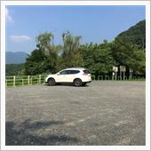 多摩川南岸道路から奥多摩周遊 ...