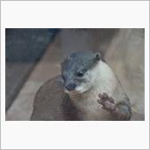 避暑で水族館でも(笑)