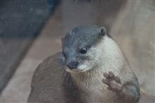 避暑で水族館でも(笑)