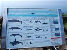 知床旅行３日目：屈斜路湖 