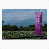 第36回 上越蓮まつり