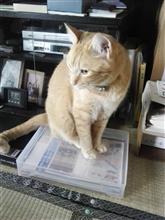 ある意味、真骨頂
