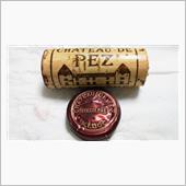 CHATEAU DE PEZ ...