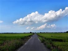 君と歩いた道