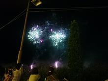 【フラワーパーク花火】・・・。
