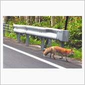初秋の北海道 ⑤　富良野～芦 ...