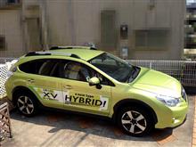 SUBARU XV HYBRID 2.0i-L SUBARU XV HYBRID 2.0i-L