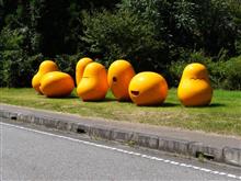 さらに