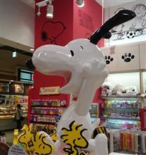 あら撮ってくれたのぉ (*^^*)