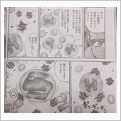 鈴　菌　感　染　@ 中山サー ...