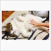 連休頂きました『その2』