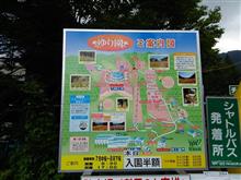 岩鞍ゆり園！