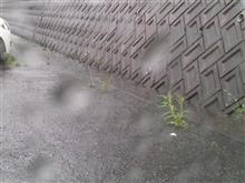 今日をふりかえって！((((；゜Д゜)))ﾉ