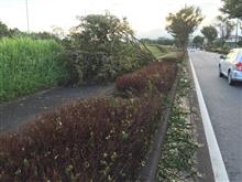 台風騒動の長い一日を過ごした結果、PHEVが欲しくなったｗ