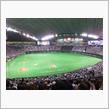 野球観戦（北海道日本ハムVS埼玉西武）