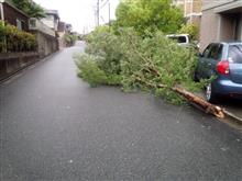 台風一過