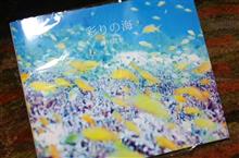 『彩りの海』