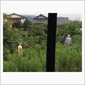 畑の中で首を吊っ・・・。