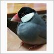 ウダウダうだうだｳﾀﾞｳﾀﾞ…