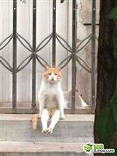 お互い様？…