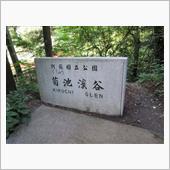 天然のクーラー