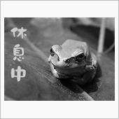 活動休止中