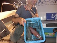 福岡で夜炊きイカ