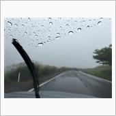 雨なので
